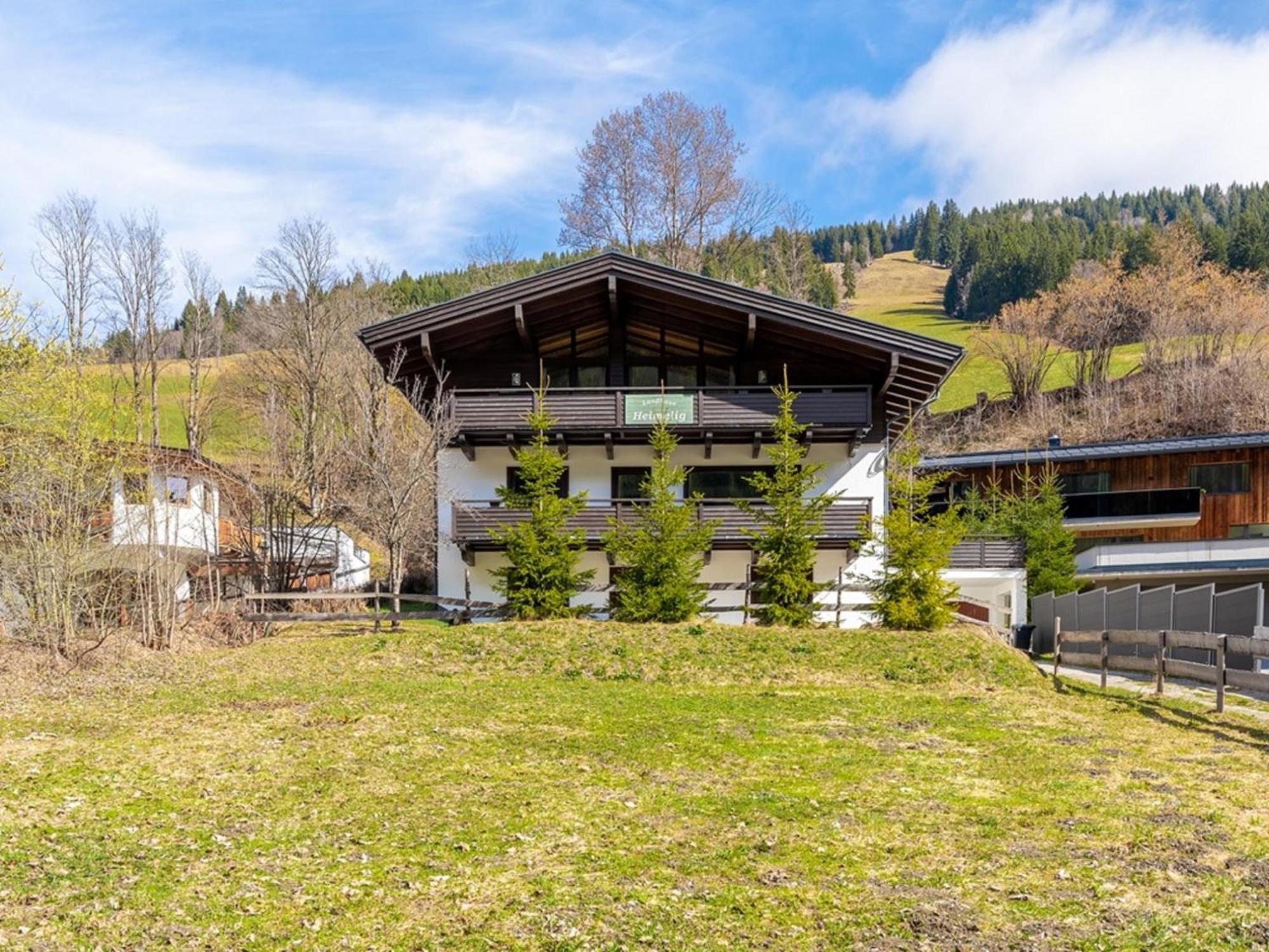 Chalet Heimelig M Saalbach-Hinterglemm Dış mekan fotoğraf